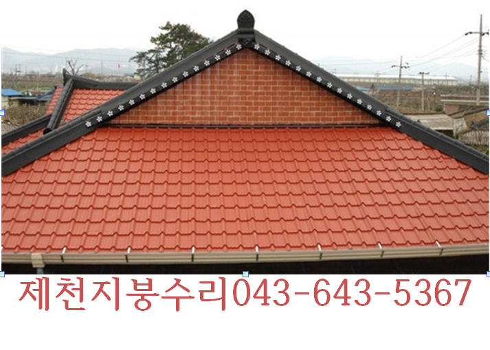 ��õ���ذ���